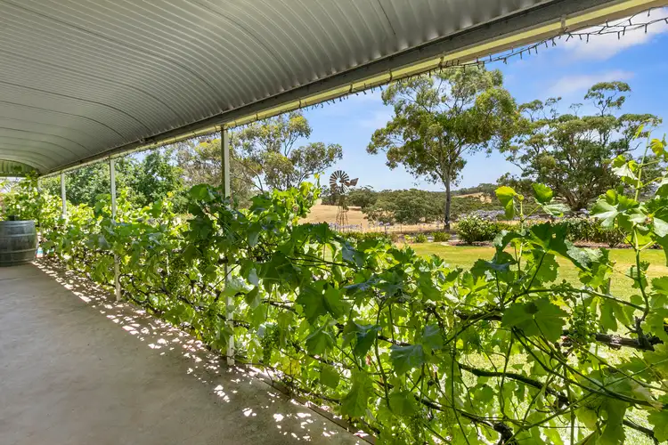 Fifth view of Homely rural property listing, 65 Muanu Road, Clare SA 5453