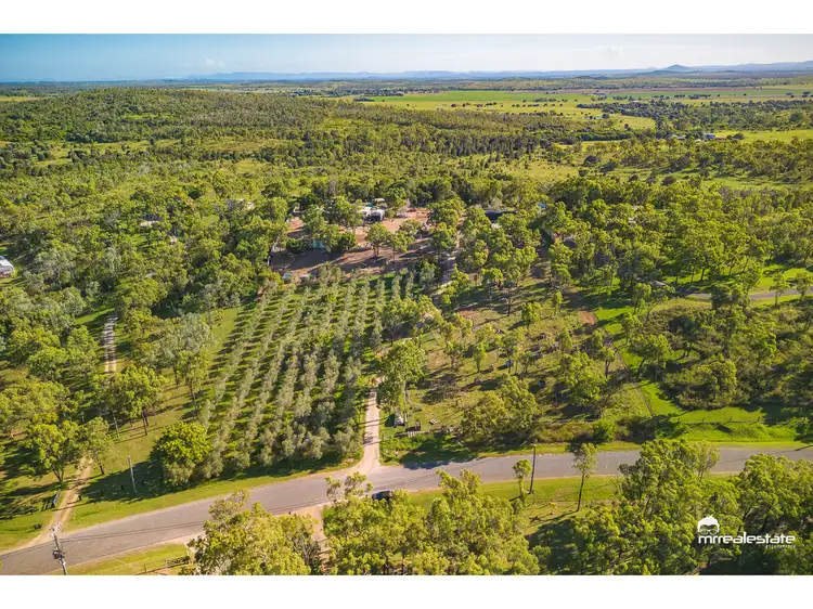 Third view of Homely house listing, 49 Keryn Drive, The Caves QLD 4702