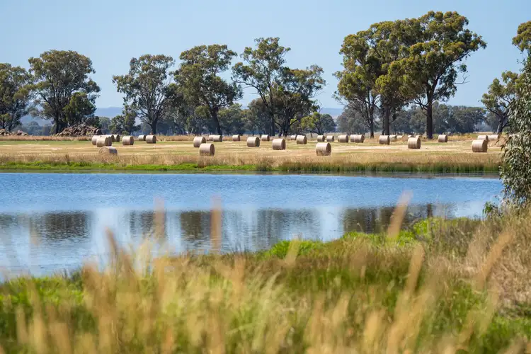 Second view of Homely rural property listing, Barnawartha Road, Browns Plains VIC 3685