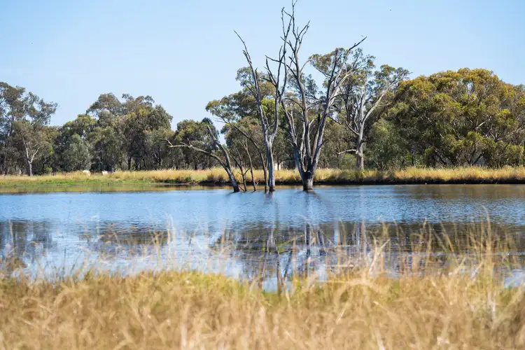 Third view of Homely rural property listing, Barnawartha Road, Browns Plains VIC 3685