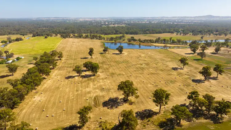 Fifth view of Homely rural property listing, Barnawartha Road, Browns Plains VIC 3685