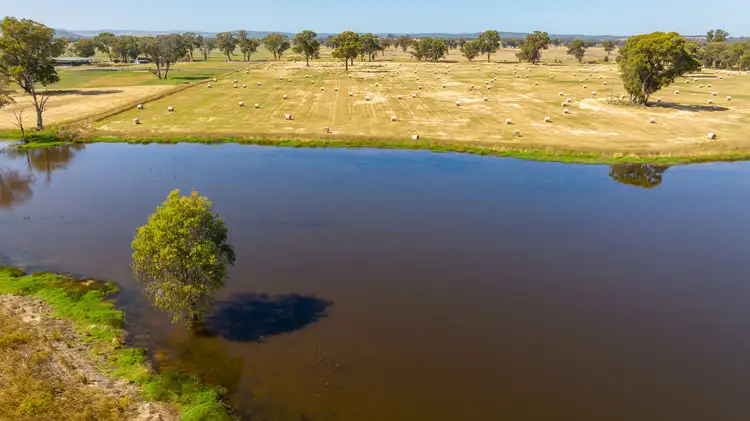 Seventh view of Homely rural property listing, Barnawartha Road, Browns Plains VIC 3685