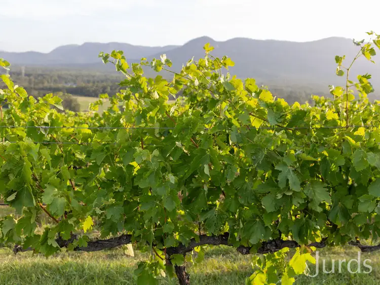 Fourth view of Homely rural property listing, Lot 1 Mistletoe Lane, Pokolbin NSW 2320