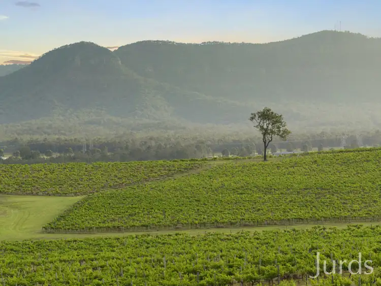 Sixth view of Homely rural property listing, Lot 1 Mistletoe Lane, Pokolbin NSW 2320