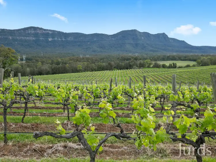 Fourth view of Homely rural property listing, Lot 2 Mistletoe Lane, Pokolbin NSW 2320