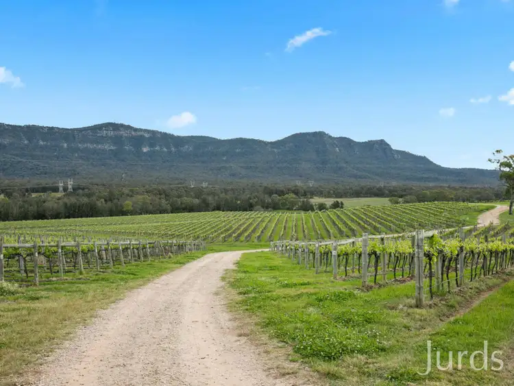 Fifth view of Homely rural property listing, Lot 2 Mistletoe Lane, Pokolbin NSW 2320