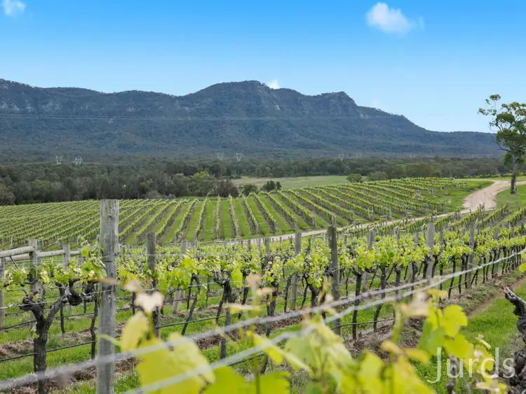 Sixth view of Homely rural property listing, Lot 2 Mistletoe Lane, Pokolbin NSW 2320