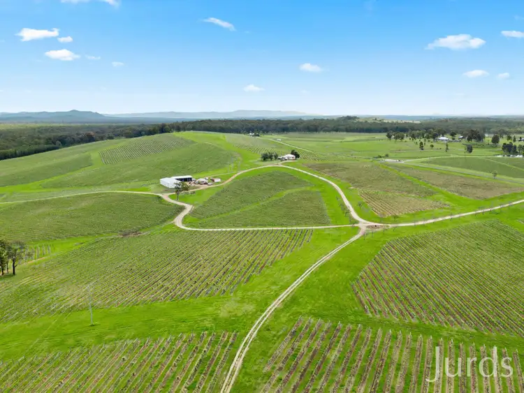 Seventh view of Homely rural property listing, Lot 2 Mistletoe Lane, Pokolbin NSW 2320