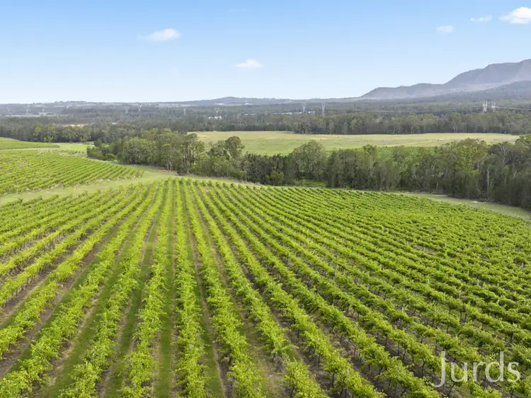 Seventh view of Homely rural property listing, Lot 3 Mistletoe Lane, Pokolbin NSW 2320