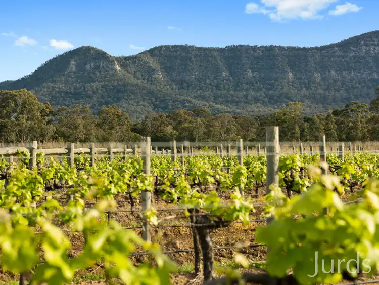 Third view of Homely rural property listing, Lot 4 Mistletoe Lane, Pokolbin NSW 2320