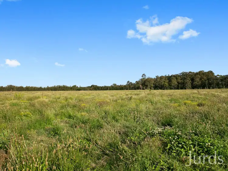 Fifth view of Homely rural property listing, Lot 4 Mistletoe Lane, Pokolbin NSW 2320
