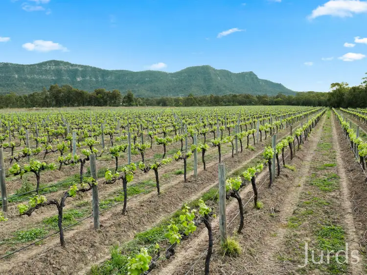 Sixth view of Homely rural property listing, Lot 4 Mistletoe Lane, Pokolbin NSW 2320