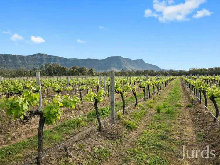 Seventh view of Homely rural property listing, Lot 4 Mistletoe Lane, Pokolbin NSW 2320