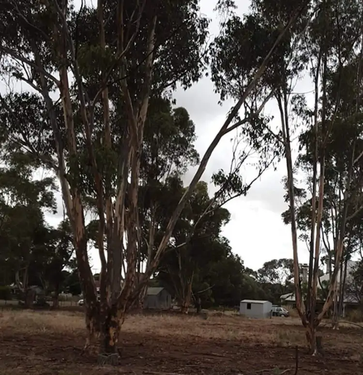 Fourth view of Homely land listing, 1 West Terrace, Georgetown SA 5472