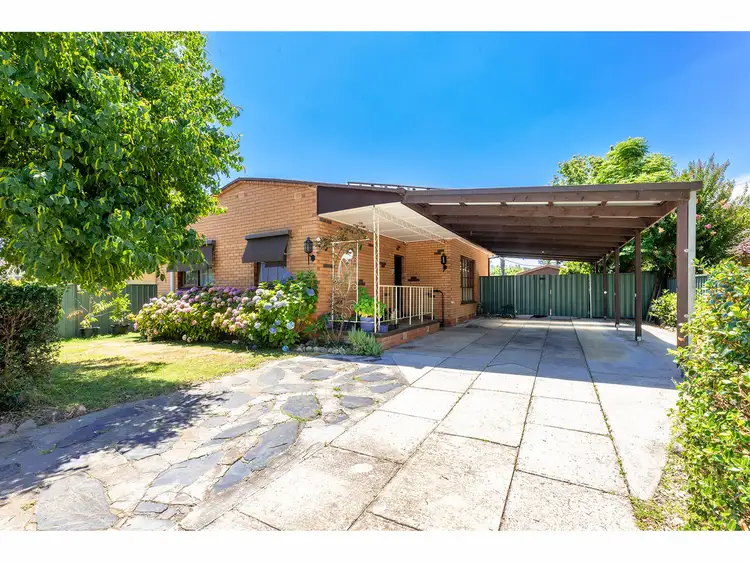 Main view of Homely house listing, 534 Douglas Road, Lavington NSW 2641