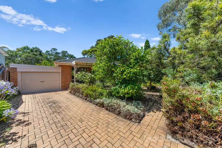 Main view of Homely house listing, 20 Elmstead Drive, Wheelers Hill VIC 3150