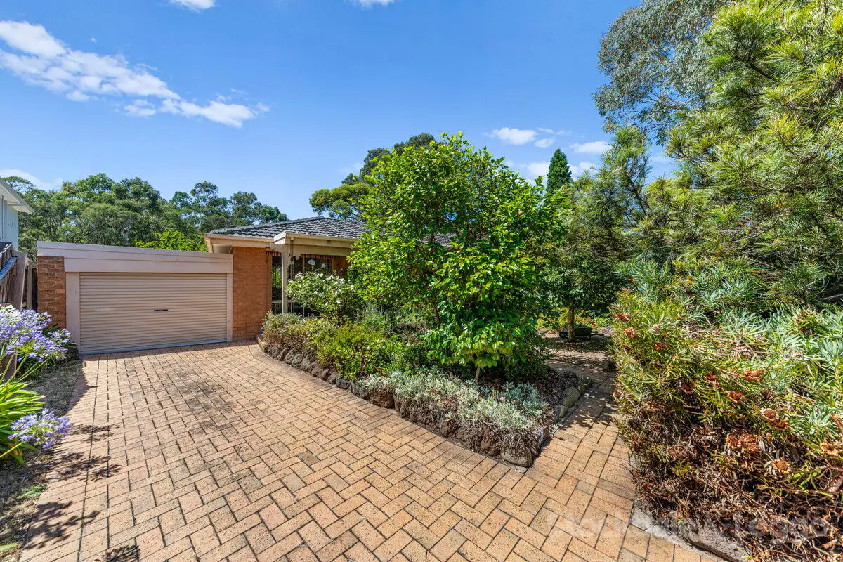 Main view of Homely house listing, 20 Elmstead Drive, Wheelers Hill VIC 3150