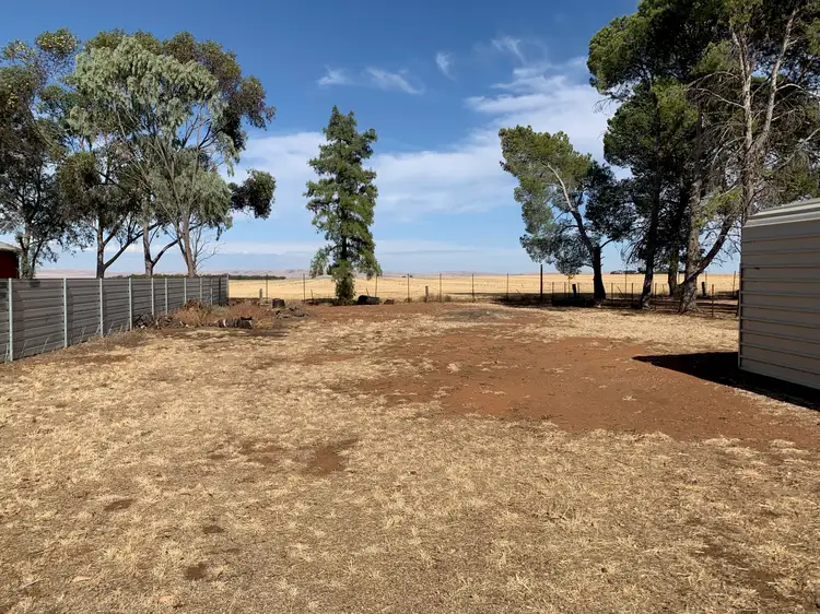 Main view of Homely land listing, 91 Main Street, Brinkworth SA 5464