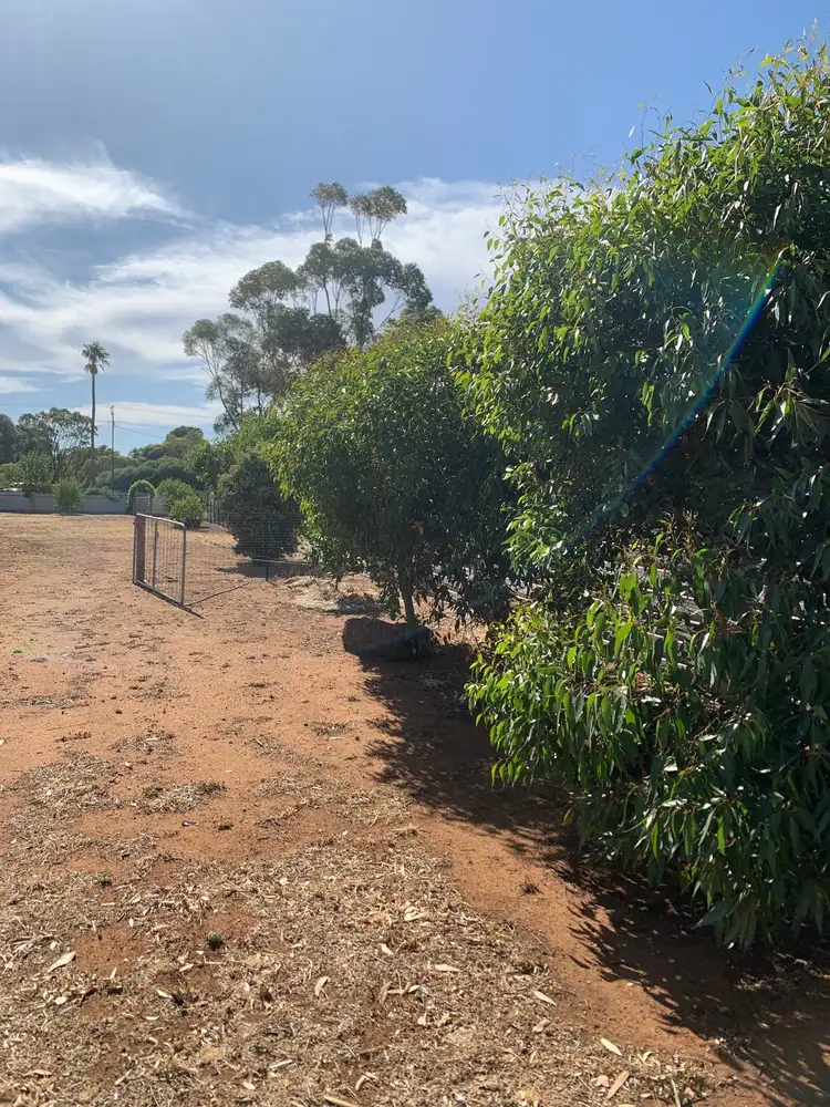 Fourth view of Homely land listing, 91 Main Street, Brinkworth SA 5464