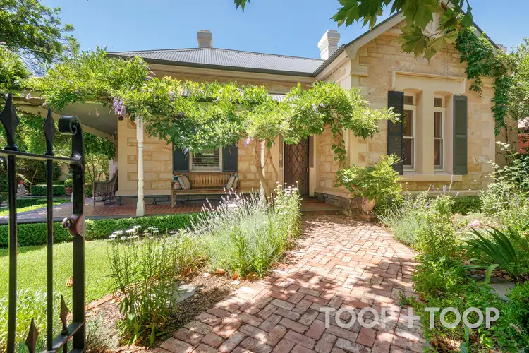 Main view of Homely house listing, 19 Winchester Street, St Peters SA 5069