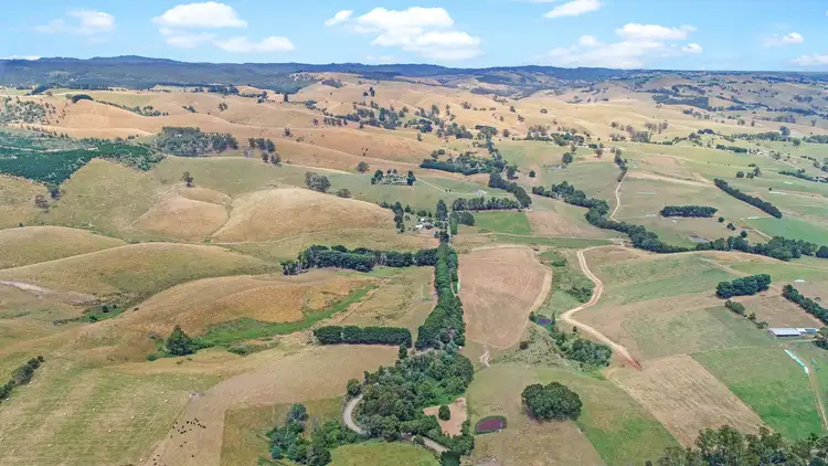 Fifth view of Homely rural property listing, LOT 83, 651 Clear Creek Road, Mirboo VIC 3871