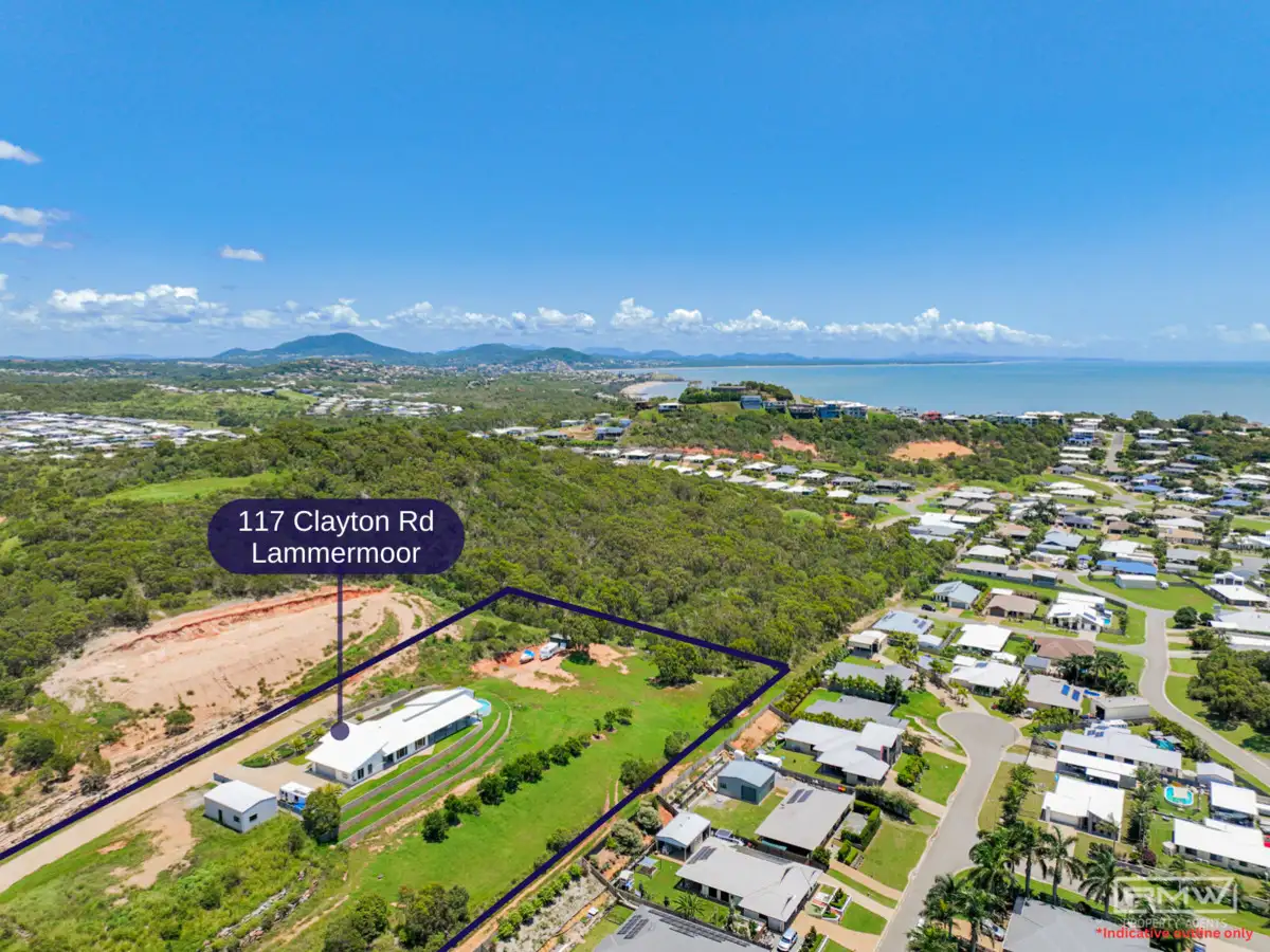Main view of Homely house listing, 117 Clayton Road, Lammermoor QLD 4703
