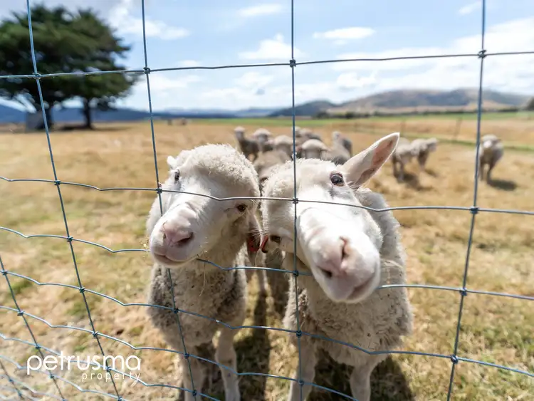 Second view of Homely house listing, 1439 Grasstree Hill Road, Richmond TAS 7025