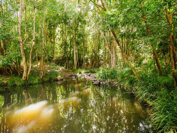 Second view of Homely house listing, 70 Running Creek Road, North Arm QLD 4561