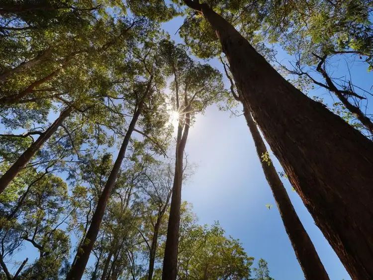 Third view of Homely land listing, Lot 11 Hideaway Place, Mons QLD 4556