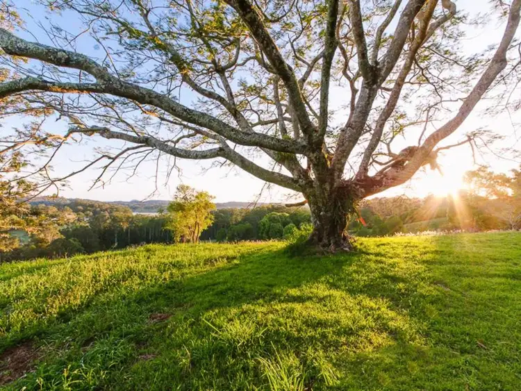 Second view of Homely land listing, 27 Moorhouse Road, Woombye QLD 4559