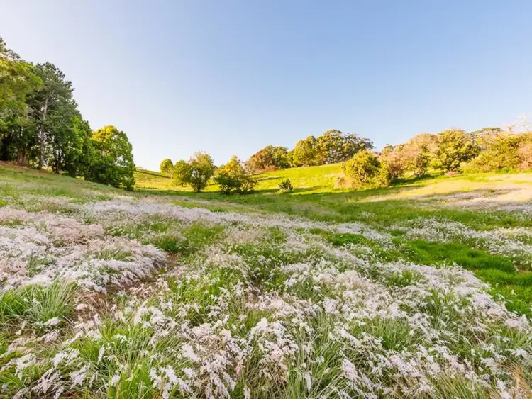 Seventh view of Homely land listing, 27 Moorhouse Road, Woombye QLD 4559