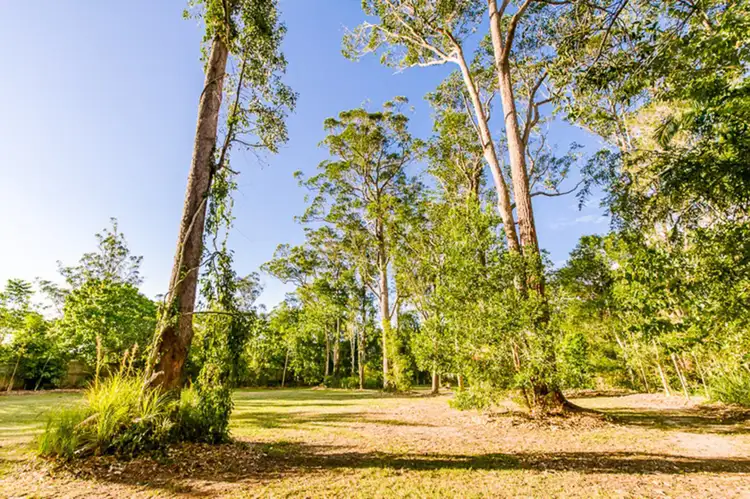 Second view of Homely land listing, 49 Palmwoods School Road, Palmwoods QLD 4555