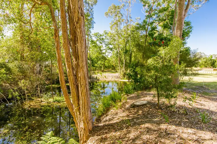 Fourth view of Homely land listing, 49 Palmwoods School Road, Palmwoods QLD 4555