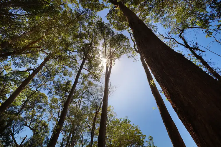 Third view of Homely land listing, LOT 6/22 Hideaway Place, Mons QLD 4556