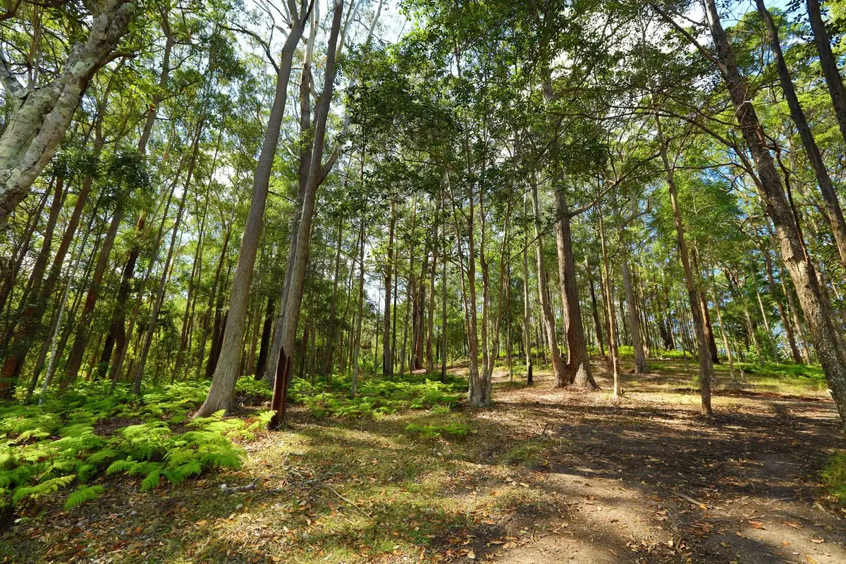 Main view of Homely land listing, 15 (Lot 3) Karinya Place, Rosemount QLD 4560