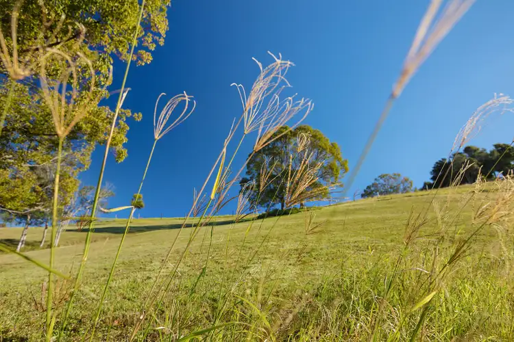 Sixth view of Homely land listing, 198 Dulong Road, Dulong QLD 4560