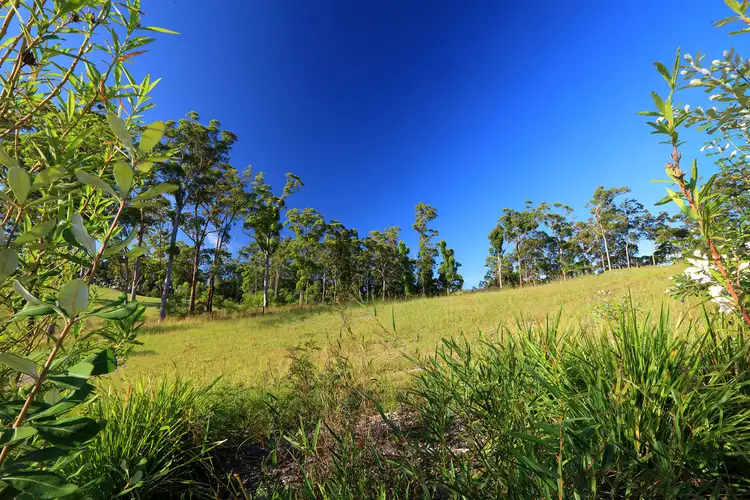 Fifth view of Homely land listing, LOT 3 Wedgetail Court, Ninderry QLD 4561