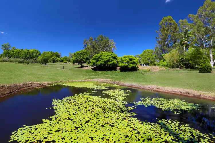 Sixth view of Homely land listing, 258 Dulong Road, Dulong QLD 4560