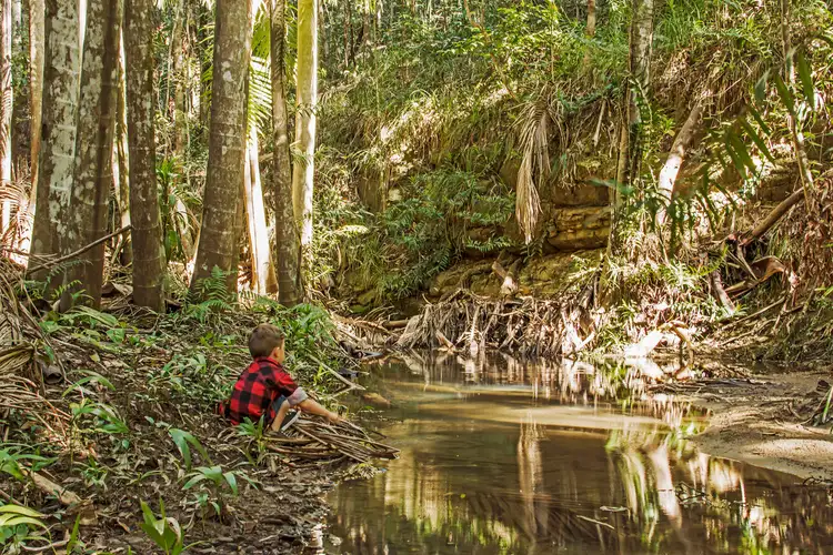 Second view of Homely house listing, 133 Vise Road, Mons QLD 4556