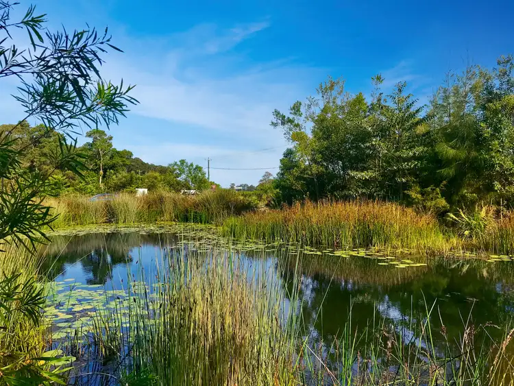 Second view of Homely land listing, LOT 1/237 Paynters Creek Road, Rosemount QLD 4560