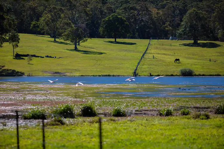 Fourth view of Homely house listing, 19 Miran Road, Image Flat QLD 4560