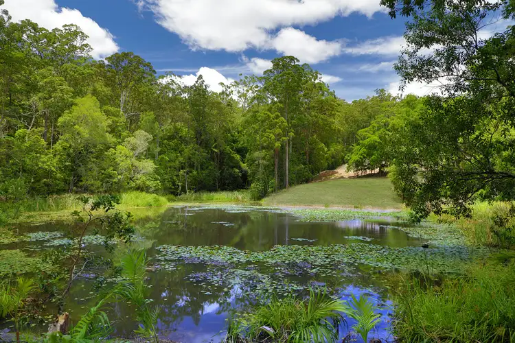 Second view of Homely land listing, Lot 14 Anning Road 'Northridge', Forest Glen QLD 4556