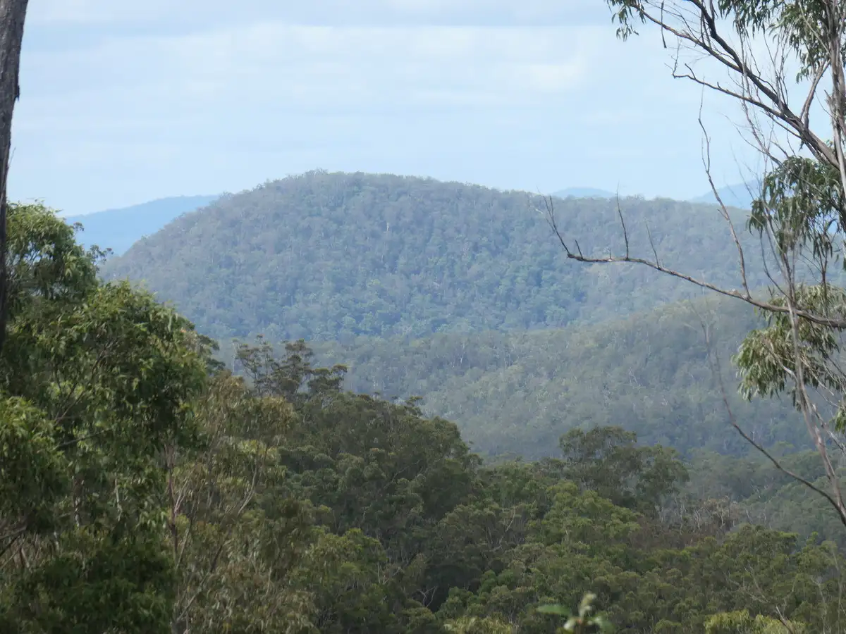 Main view of Homely rural property listing, LOT 104 Patemans Road, Drake NSW 2469