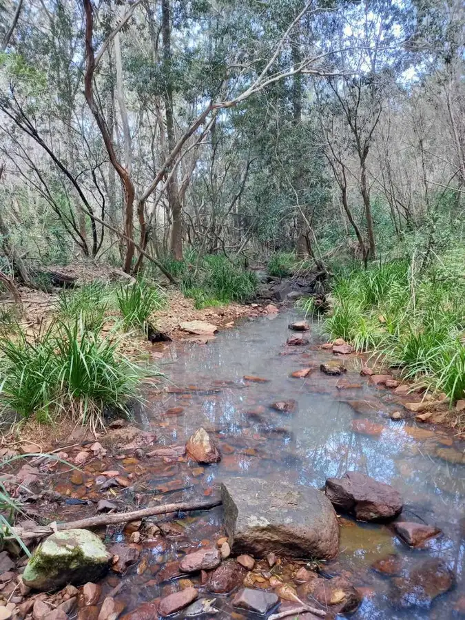 Fourth view of Homely rural property listing, LOT 104 Patemans Road, Drake NSW 2469