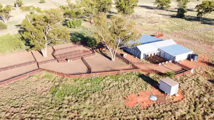 Second view of Homely rural property listing, 'Bernafay' 605 Pangee Road, Nyngan NSW 2825