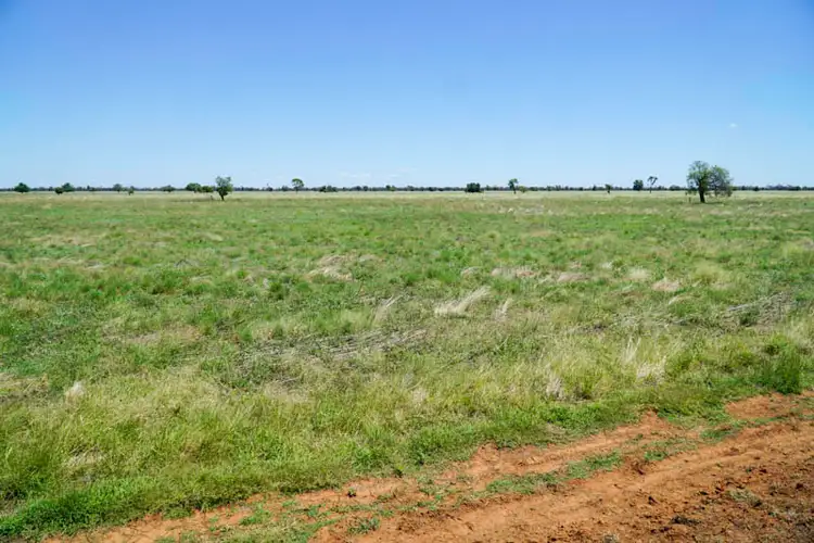 Fifth view of Homely rural property listing, 'Bernafay' 605 Pangee Road, Nyngan NSW 2825