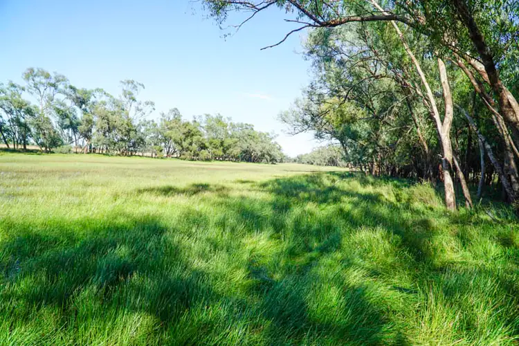 Sixth view of Homely rural property listing, 'Bernafay' 605 Pangee Road, Nyngan NSW 2825