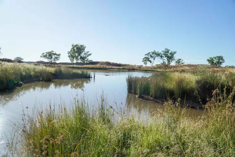 Seventh view of Homely rural property listing, 'Bernafay' 605 Pangee Road, Nyngan NSW 2825