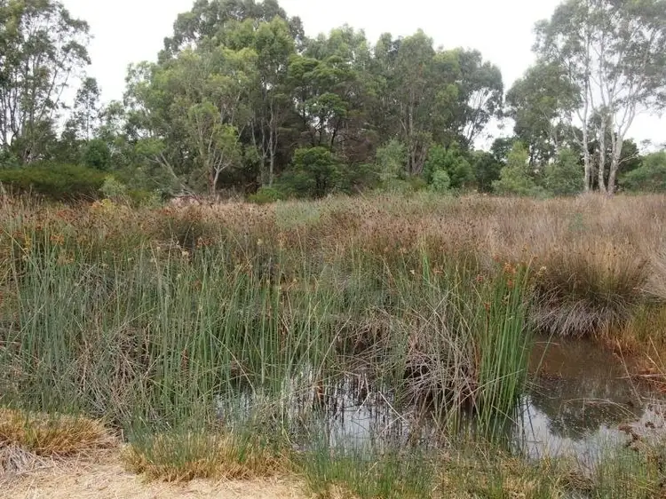 Fourth view of Homely land listing, 1871 Glenelg Highway, Wannon VIC 3301