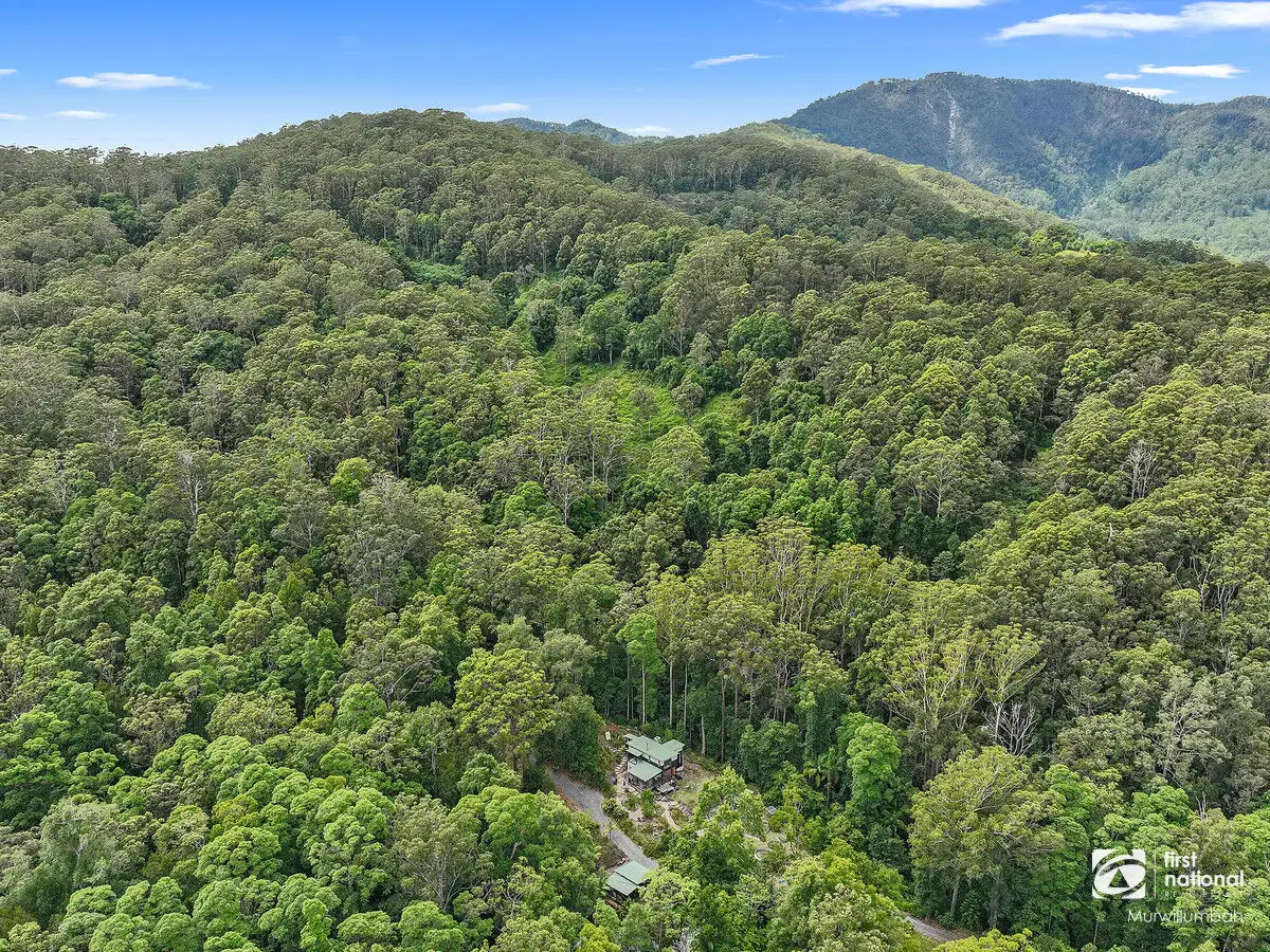 Main view of Homely rural property listing, 563 Commissioners Creek Road, Commissioners Creek NSW 2484